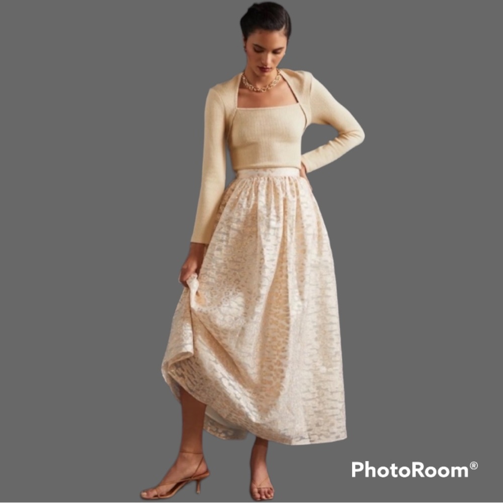 Anthropologie Burnout Shimmer Maxi Skirt Size M